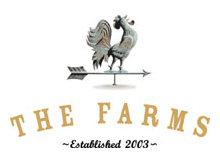 The Farms Subdivision in Mooresville